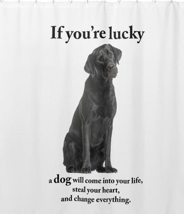 If you're lucky a dog will come into your life, steal your heart, and change everything.