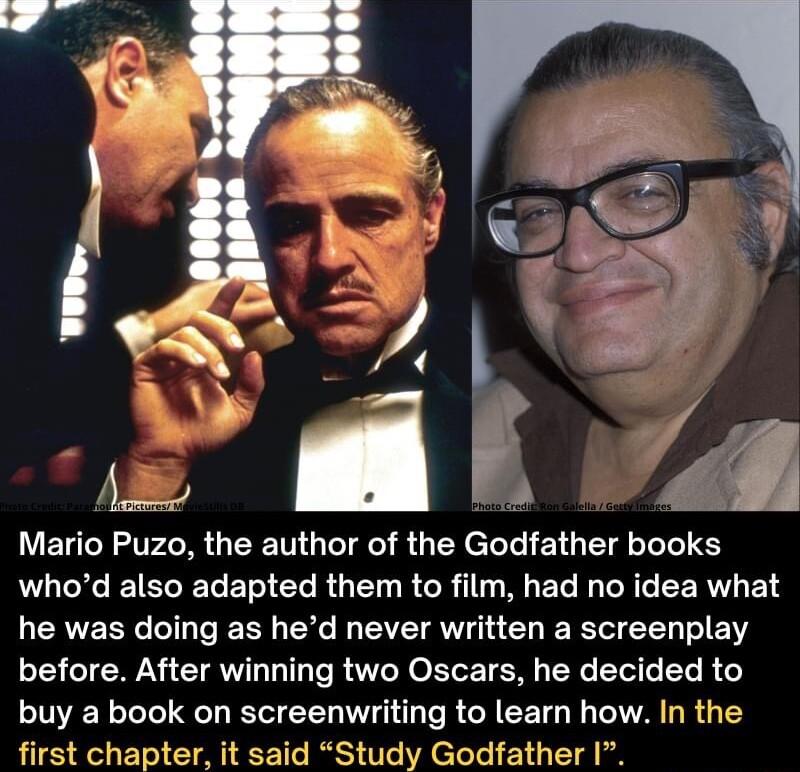 Mario Puzo the author of the Godfather books QAL E T BTG EL RGN R G R 11 ML ET I TR G RV ET LERVERK LI ERR Y DT AW L ChE T N T before After winning two Oscars he decided to buy a book on screenwriting to learn how In the first chapter it said Study Godfather I