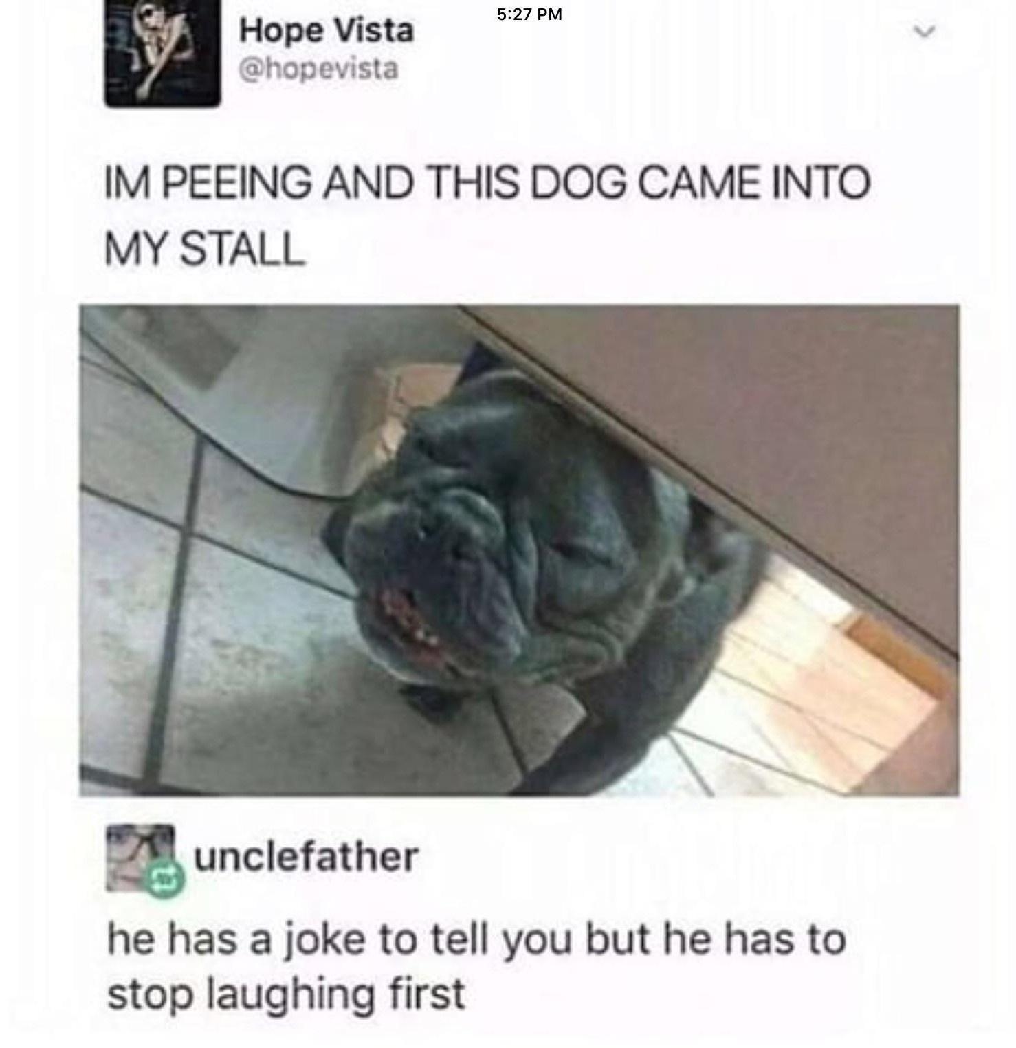 Hope Vista hopevista IM PEEING AND THIS DOG CAME INTO MY STALL unclefather he has a joke to tell you but he has to stop laughing first