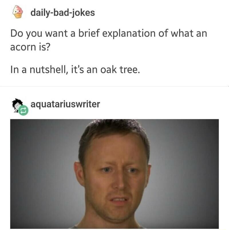 Do you want a brief explanation of what an acorn is? In a nutshell, it's an oak tree. (Image of a man with a confused or disappointed expression)