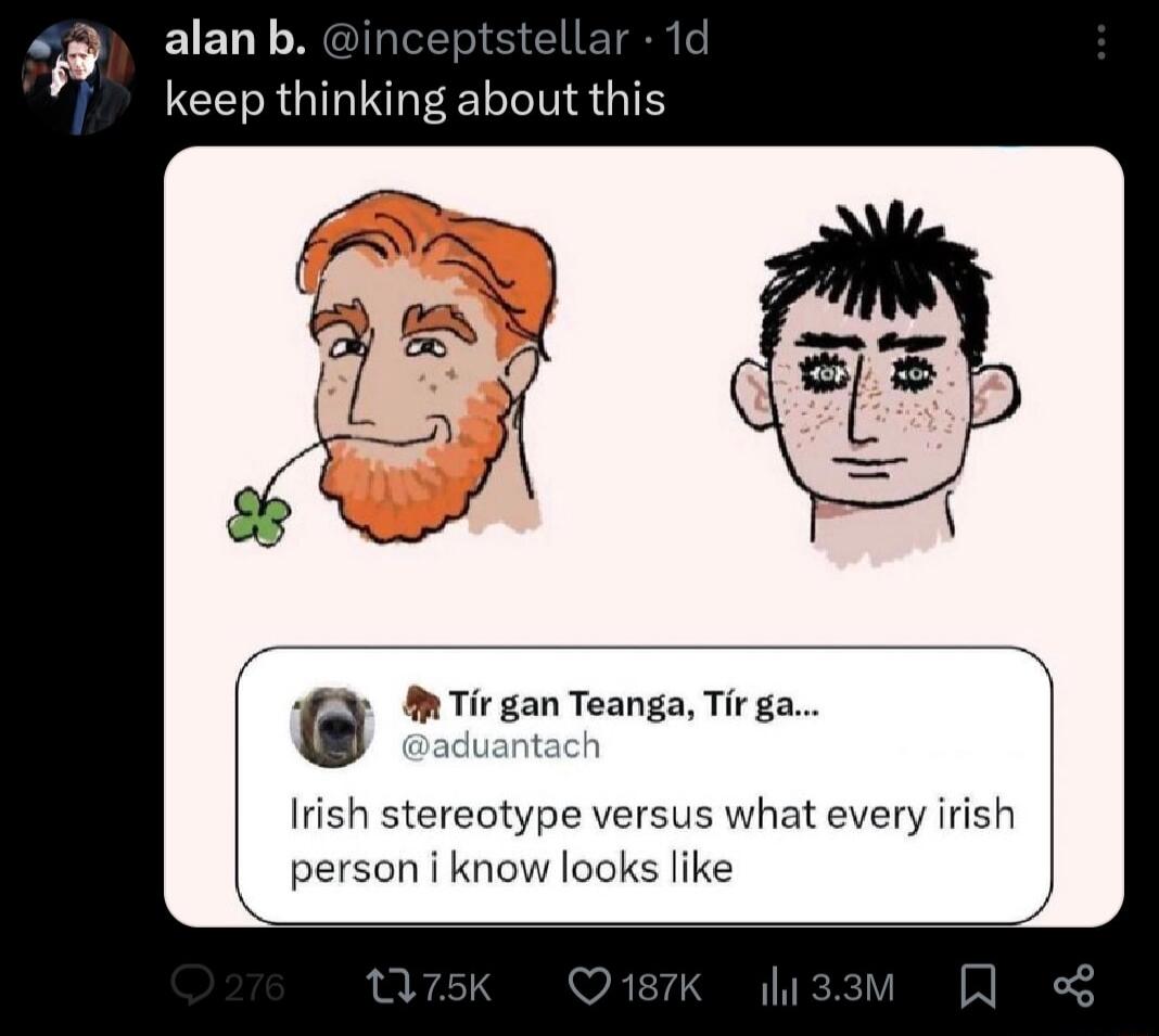 v EIEL T NGIRT L keep thinking about the M Tirgan Teanga Tir ga Irish stereotype versus what every irish person i know looks like