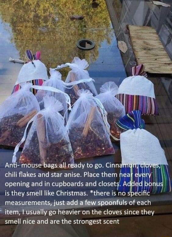 Anti mouse bags all rady to go Cinnd chili flakes and star anise Place them opening and in cupboards and clusel is they smell like Christmas there is no specific measurements just add a few spoonfuls of each item I usually go heavier on the cloves since they smell nice and are the strongest scent