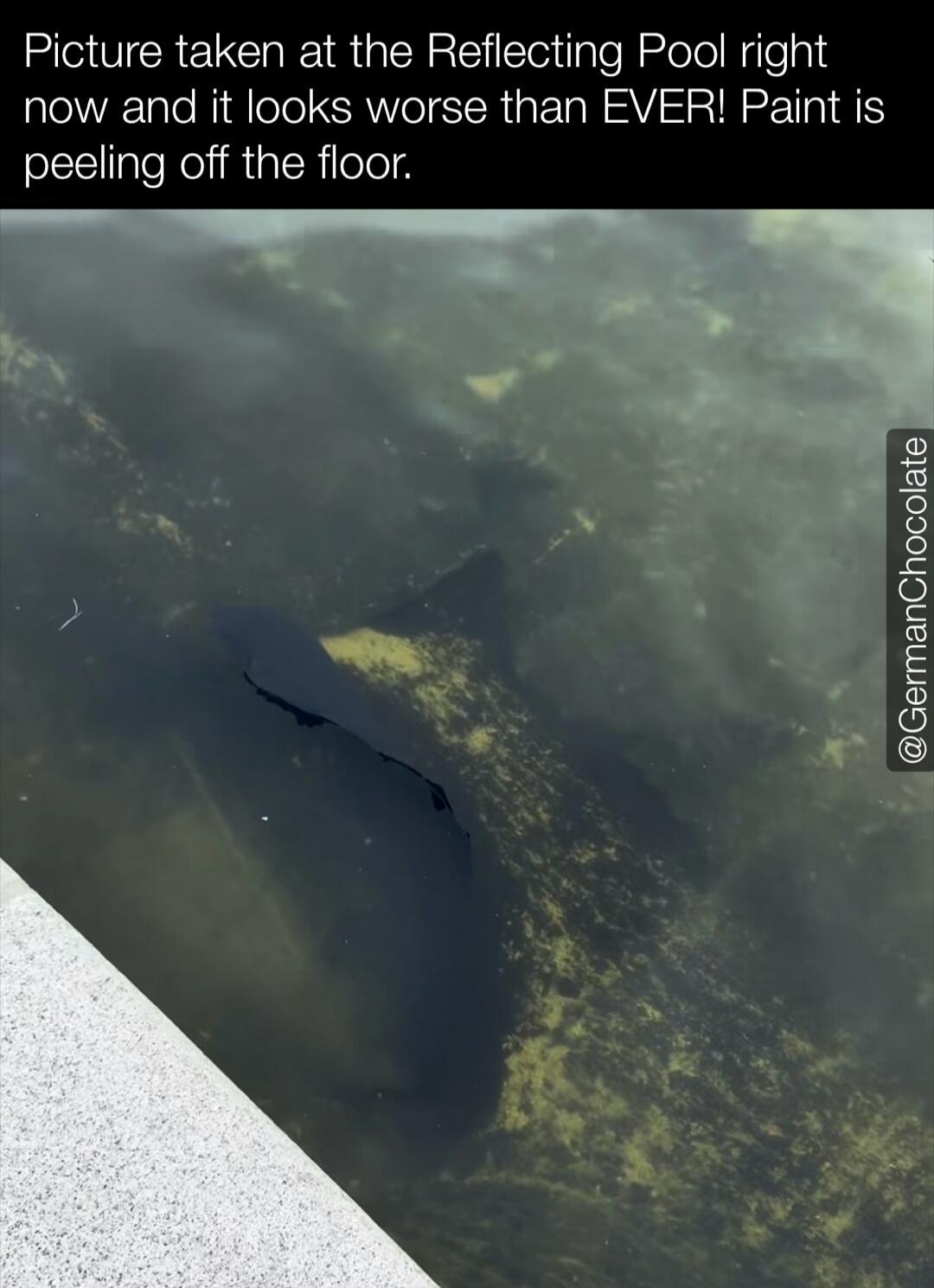 Picture taken at the Reflecting Pool right now and it looks worse than EVER! Paint is peeling off the floor.
