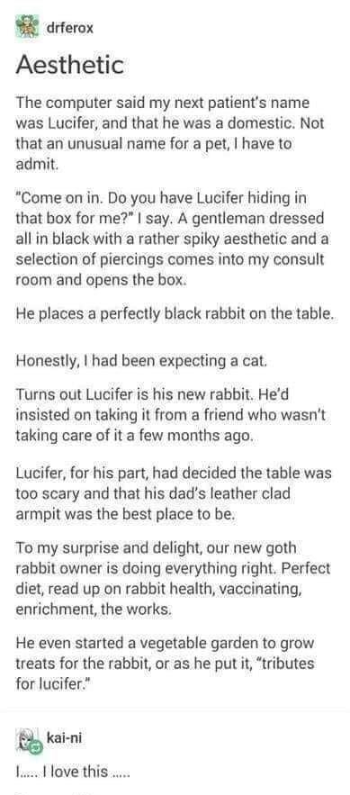 drferox Aesthetic The computer said my next patients name was Lucifer and that he was a domestic Not that an unusual name for a pet have to admit Come on in Do you have Lucifer hiding in that box for me say A gentleman dressed all in black with a rather spiky aesthetic and a selection of piercings comes into my consult room and opens the box He places a perfectly black rabbit on the table Honestly