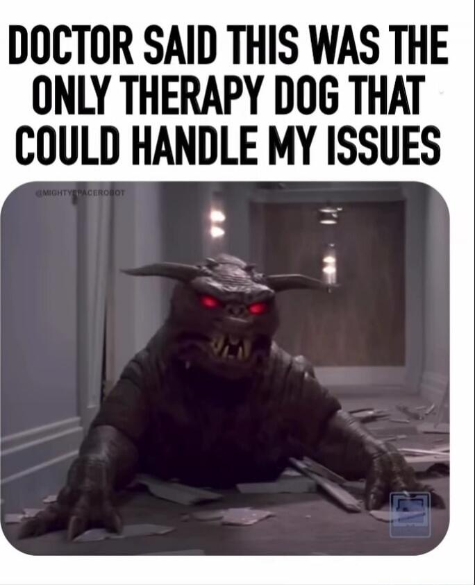 DOCTOR SAID THIS WAS THE ONLY THERAPY DOG THAT COULD HANDLE MY ISSUES