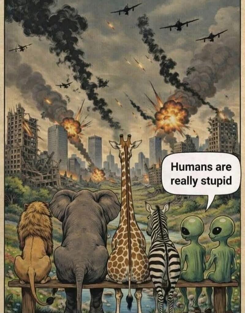 Humans are really stupid