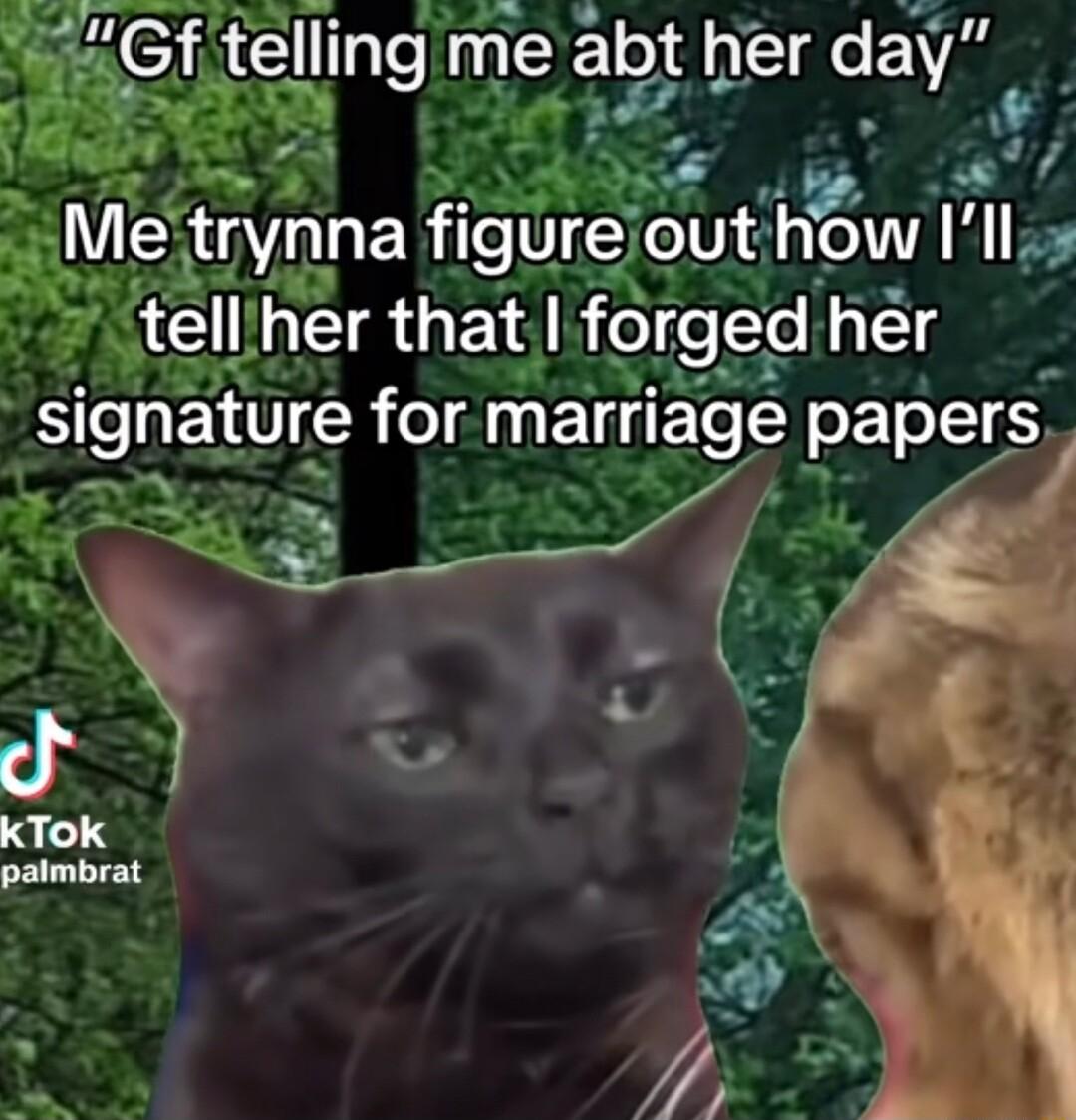 0 AN Y i ief telllng r at her day A N n Metrynna fngurt_aout how 7 tellher that forged her sngnature for marrlage papers