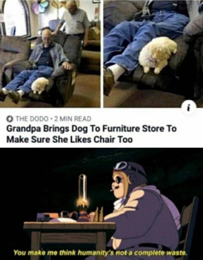 THE DODO • 2 MIN READ Grandpa Brings Dog To Furniture Store To Make Sure She Likes Chair Too. You make me think humanity's not a complete waste.