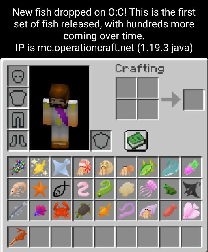 NEIRTE WeoooITe Mo ORI M IS TERER R4 set of fish released with hundreds more coming over time IP is mcoperationcraftnet 1193 java Crafting
