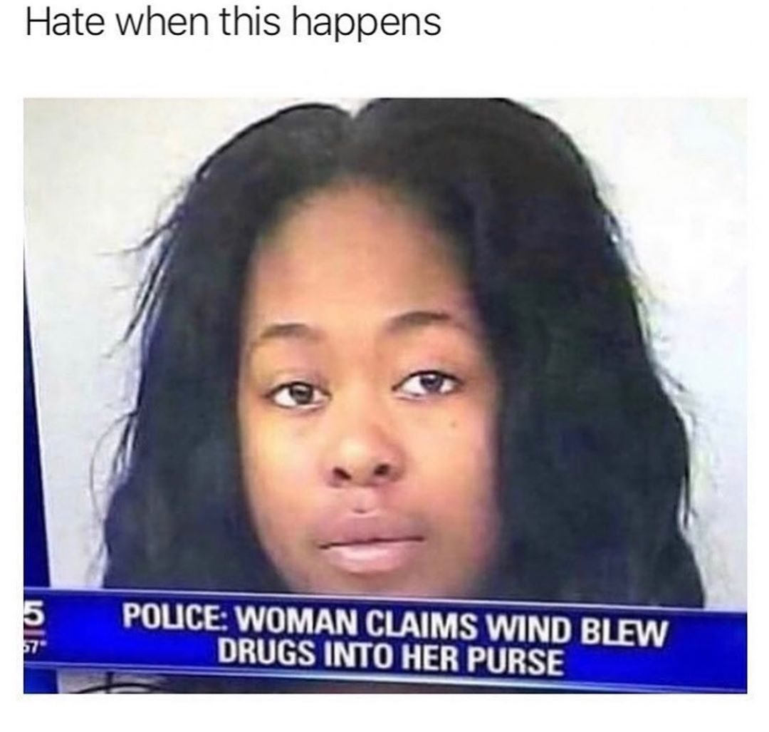 Hate when this happens POLICE WOMAN CLAIMS WIND BLEW DRUGS INTO HER PURSE nUGS INTO HER PURSE p
