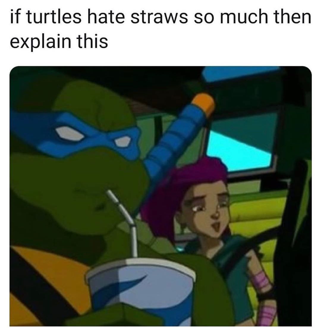 if turtles hate straws so much then explain this