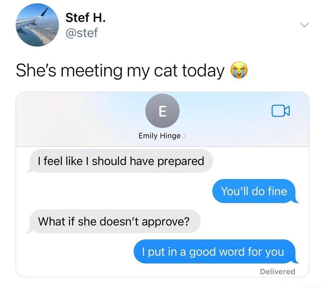 Stef H stef Shes meeting my cat today o Emily Hinge feel like should have prepared What if she doesnt approve put in a good word f Delivered