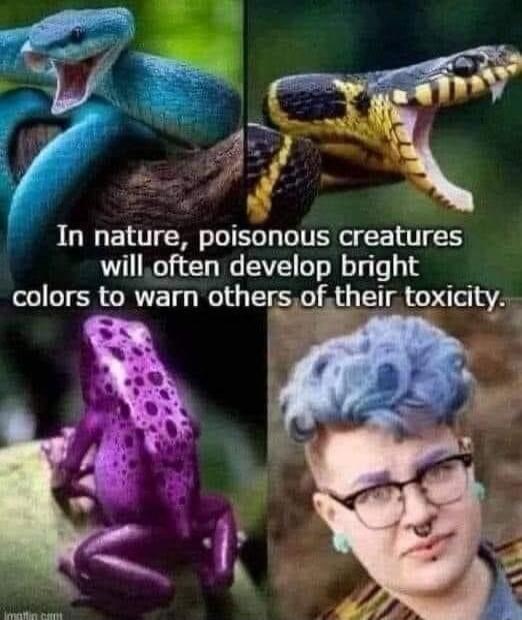 In nature, poisonous creatures will often develop bright colors to warn others of their toxicity.
