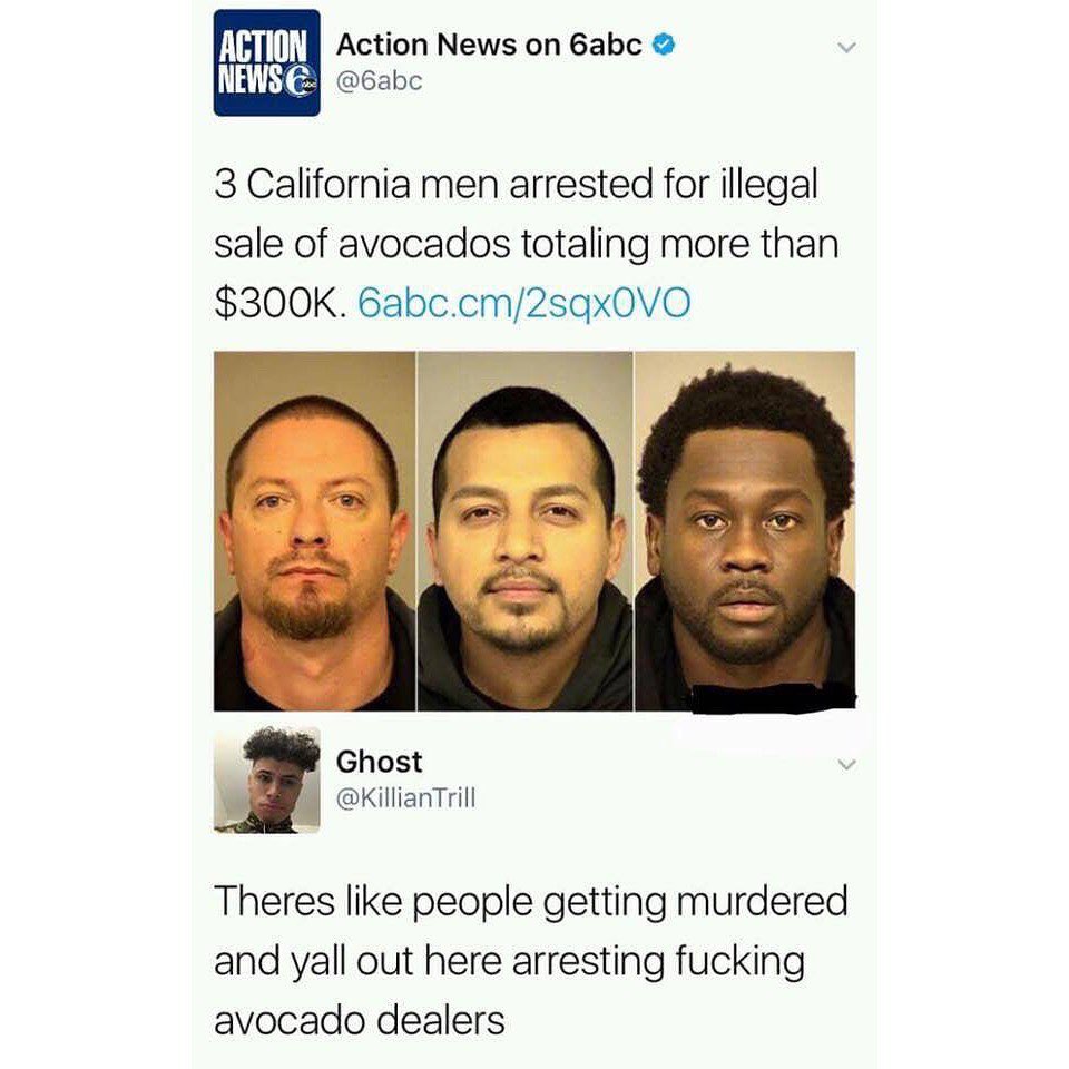I THIIN Action News on 6abc I 6abc 3 California men arrested for illegal sale of avocados totaling more than 300K 6abccm2sgx0VO Ghost illianTrill Theres like people getting murdered and yall out here arresting fucking avocado dealers