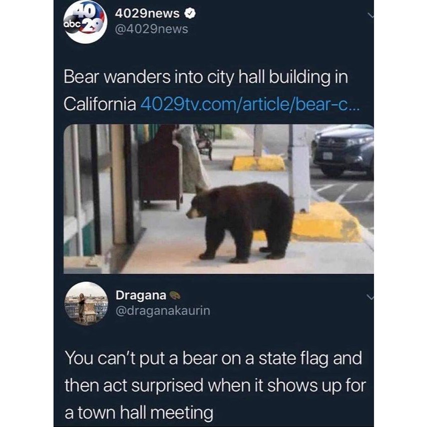4029news ZOPAST SV Bear wanders into city hall building in California 4029tvcomarticlebear c Dragana L s fleleERELET You cant put a bear on a state flag and then act surprised when it shows up for a town hall meeting