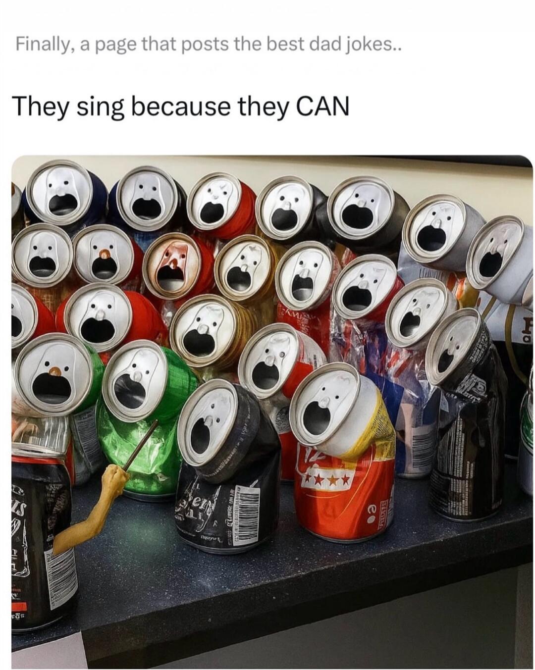 Finally, a page that posts the best dad jokes.. They sing because they CAN
