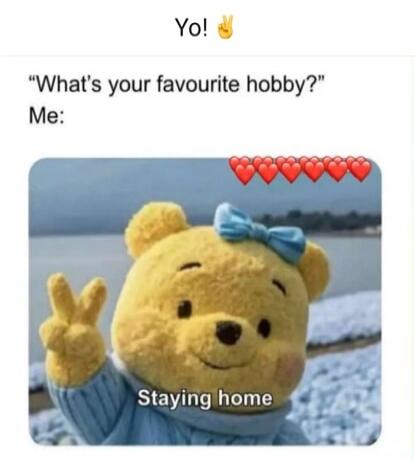 Yo! What's your favourite hobby? Me: Staying home