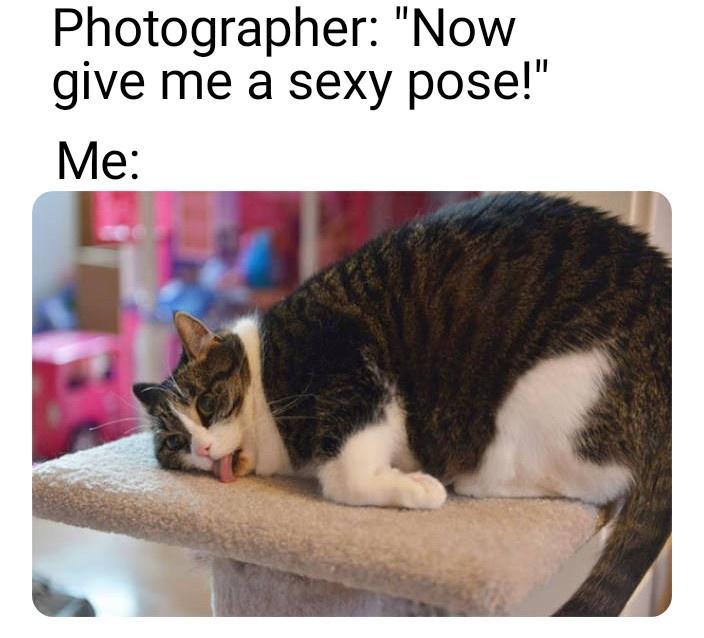 Photographer Now give me a sexy pose