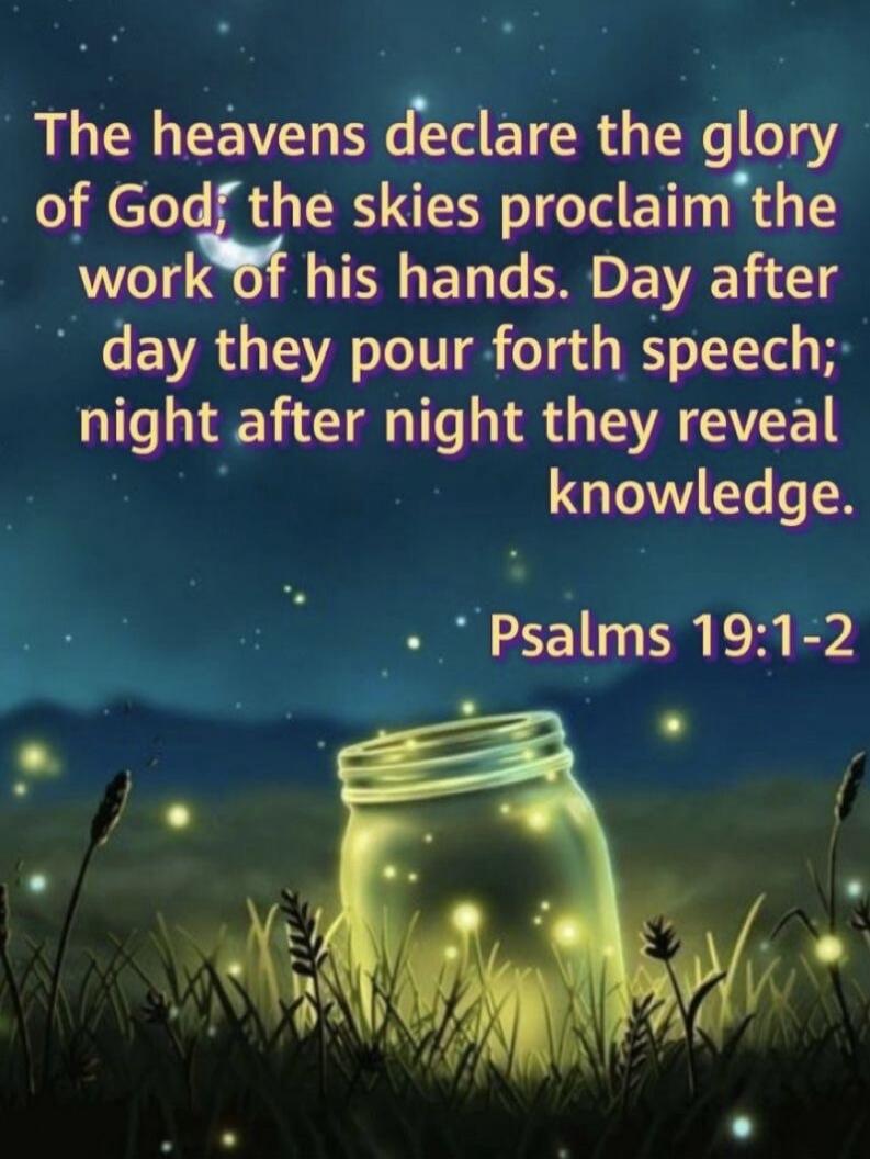 The heavens declare the glory of God; the skies proclaim the work of his hands. Day after day they pour forth speech; night after night they reveal knowledge. Psalms 19:1-2