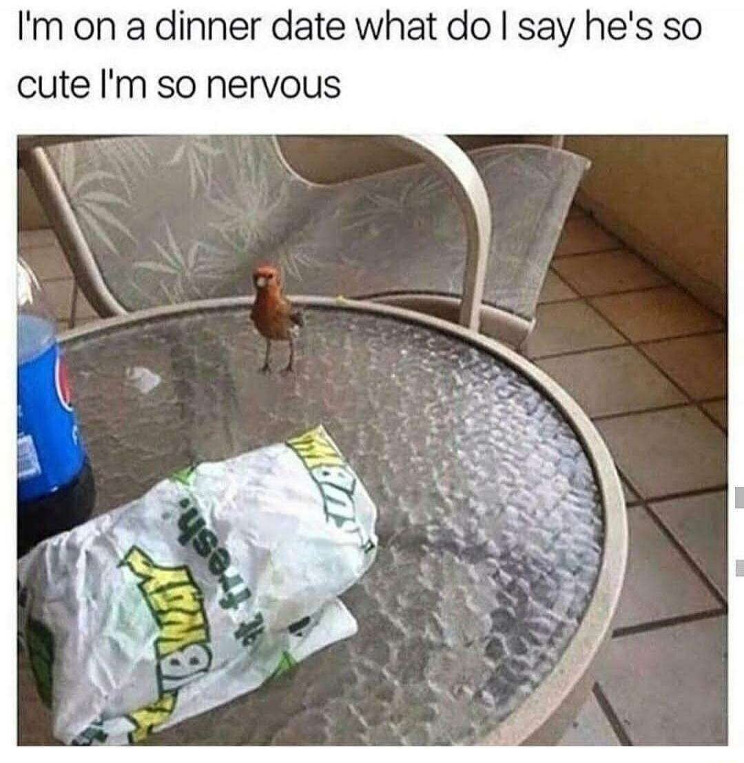 Im on a dinner date what do say hes so cute Im so nervous