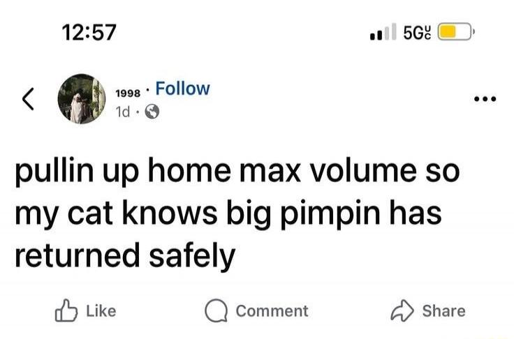 pullin up home max volume so my cat knows big pimpin has returned safely