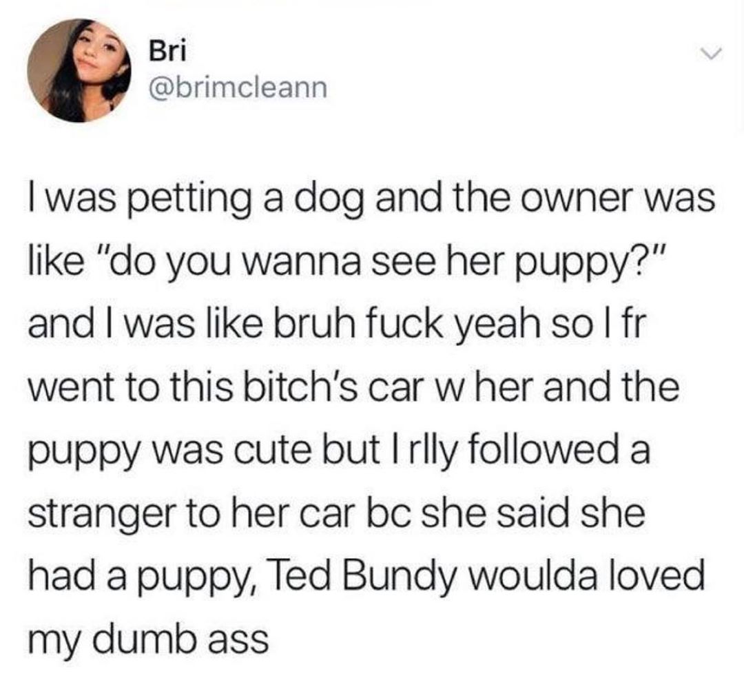 Bri brimcleann was petting a dog and the owner was like do you wanna see her puppy and was like bruh fuck yeah so fr went to this bitchs car w her and the puppy was cute but rlly followed a stranger to her car bc she said she had a puppy Ted Bundy woulda loved my dumb ass