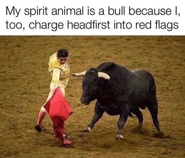 My spirit animal is a bull because too charge headfirst into red flags