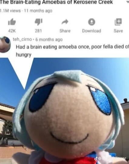 Ihe Brain Eating Amoebas of Kerosene Creex s o Had a brain eating amoeba once poor fella died of hungry