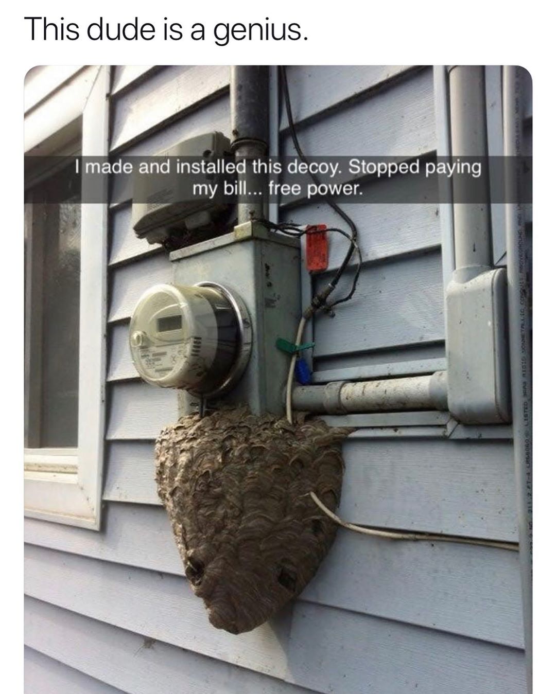 This dude is a genius g Iimade and installed this decoy Stopped paying 0 o1 IS T N oTe T z