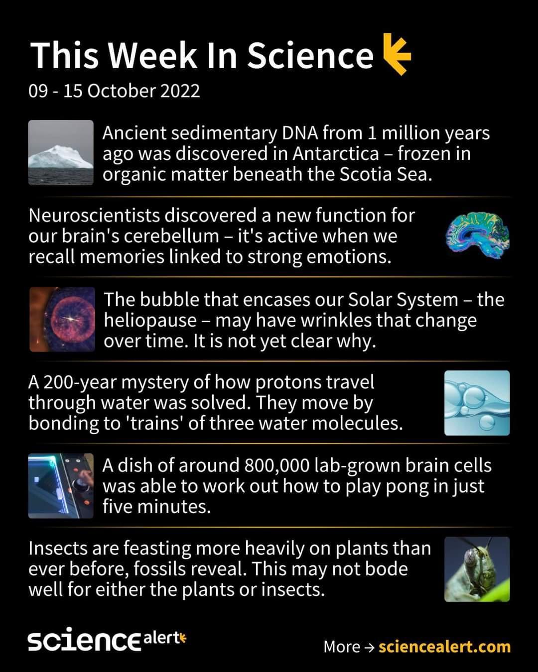 This Week In Science 09 15 October 2022 Ancient sedimentary DNA from 1 million years ago was discovered in Antarctica frozen in organic matter beneath the Scotia Sea Neuroscientists discovered a new function for our brains cerebellum its active when we recall memories linked to strong emotions I The bubble that encases our Solar System the i heliopause may have wrinkles that change overtime Itis n