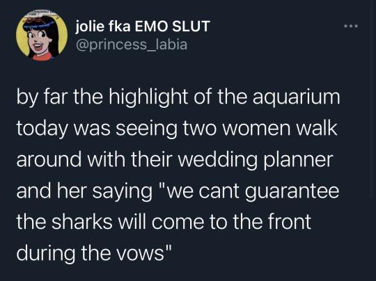 jolie fka EMO SLUT princess_labia by far the highlight of the aquarium ole EAN ERSTY ale R o R WV elna SIa RUZ1I S around with their wedding planner Elale N CIgE Vil ale RRVYINorTa I e VET a1 15 the sharks will come to the front oV glaleRiaEAVoVES