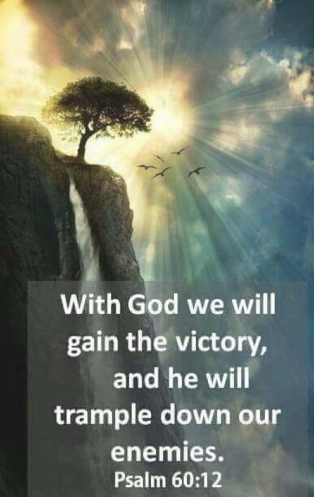 With God we will gain the victory, and he will trample down our enemies. Psalm 60:12