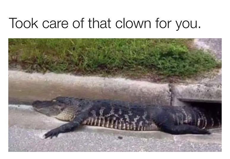 Took care of that clown for you