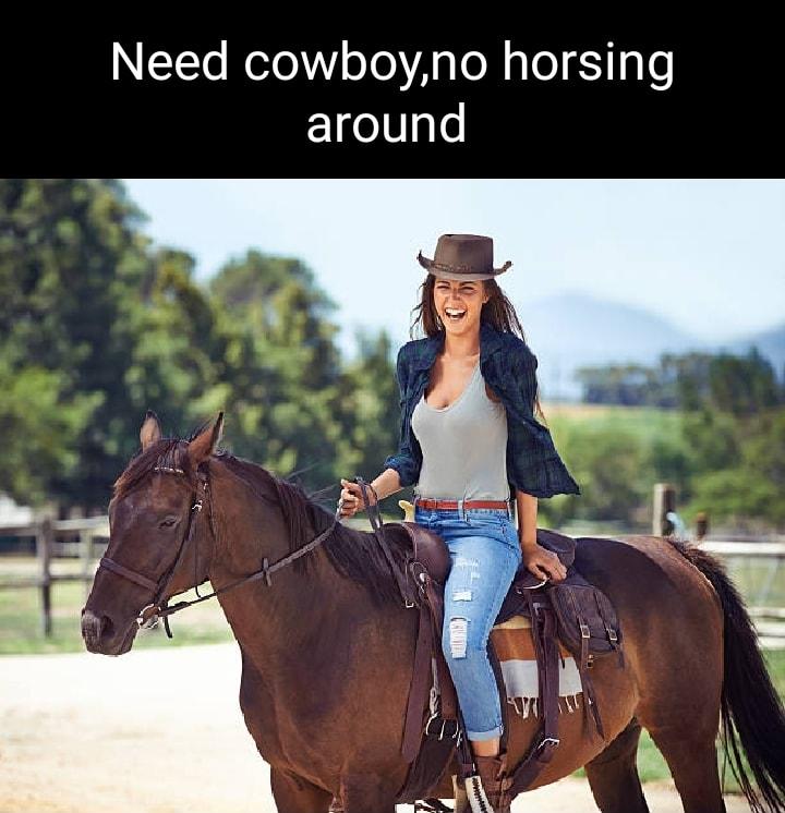 Need cowboyno horsing around