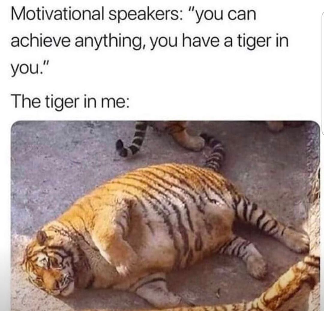 Motivational speakers you can achieve anything you have a tiger in The tiger in me W