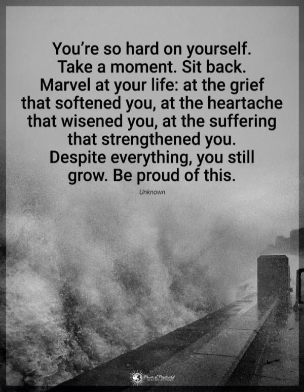 You're so hard on yourself. Take a moment. Sit back. Marvel at your life: at the grief that softened you, at the heartache that wisened you, at the suffering that strengthened you. Despite everything, you still grow. Be proud of this.