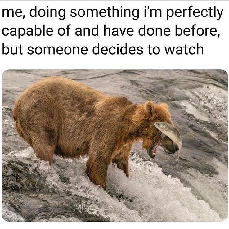 me doing something im perfectly capable of and have done before but someone decides to watch