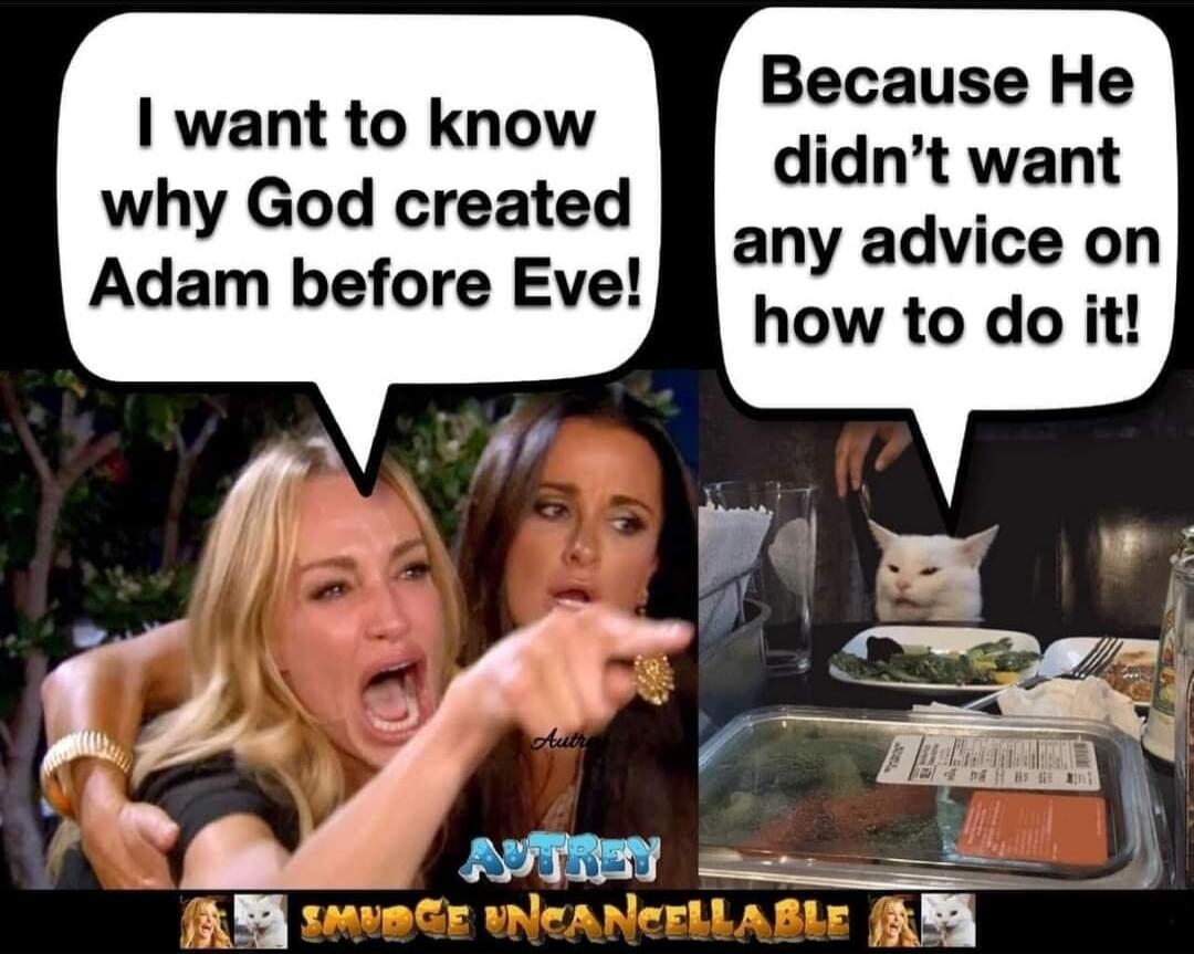I want to know why God created Adam before Eve! Because He didn't want any advice on how to do it!