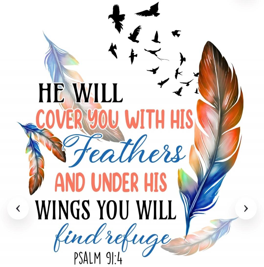 HE WILL COVER YOU WITH HIS Feathers AND UNDER HIS WINGS YOU WILL find refuge PSALM 91:4