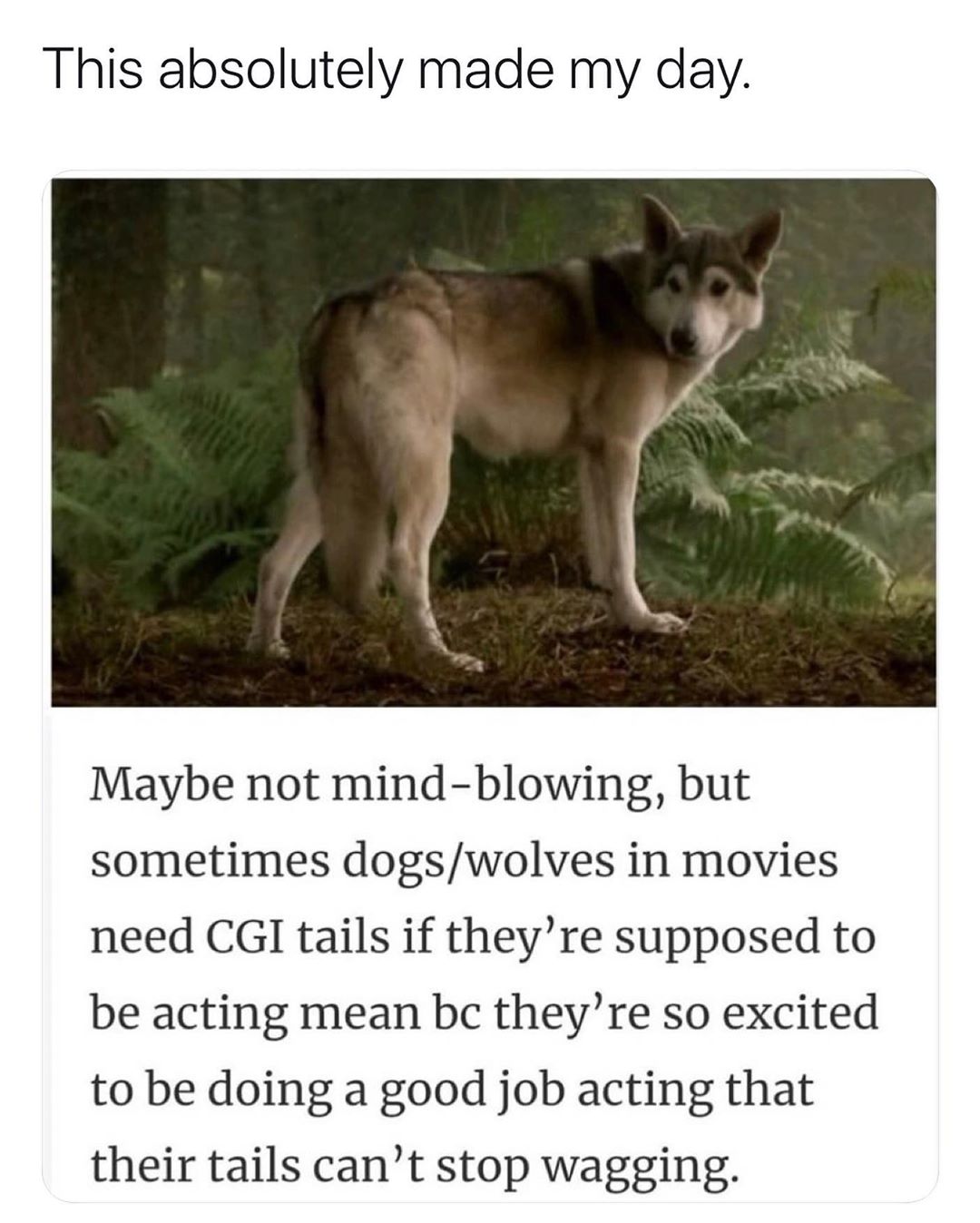 This absolutely made my day Maybe not mind blowing but sometimes dogswolves in movies need CGI tails if theyre supposed to be acting mean bc theyre so excited to be doing a good job acting that their tails cant stop wagging