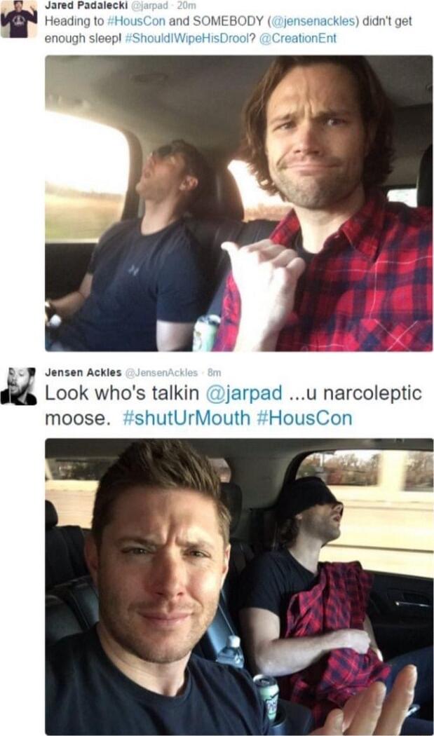 Jensen Ackles Look whos talkin moose shutUrh
