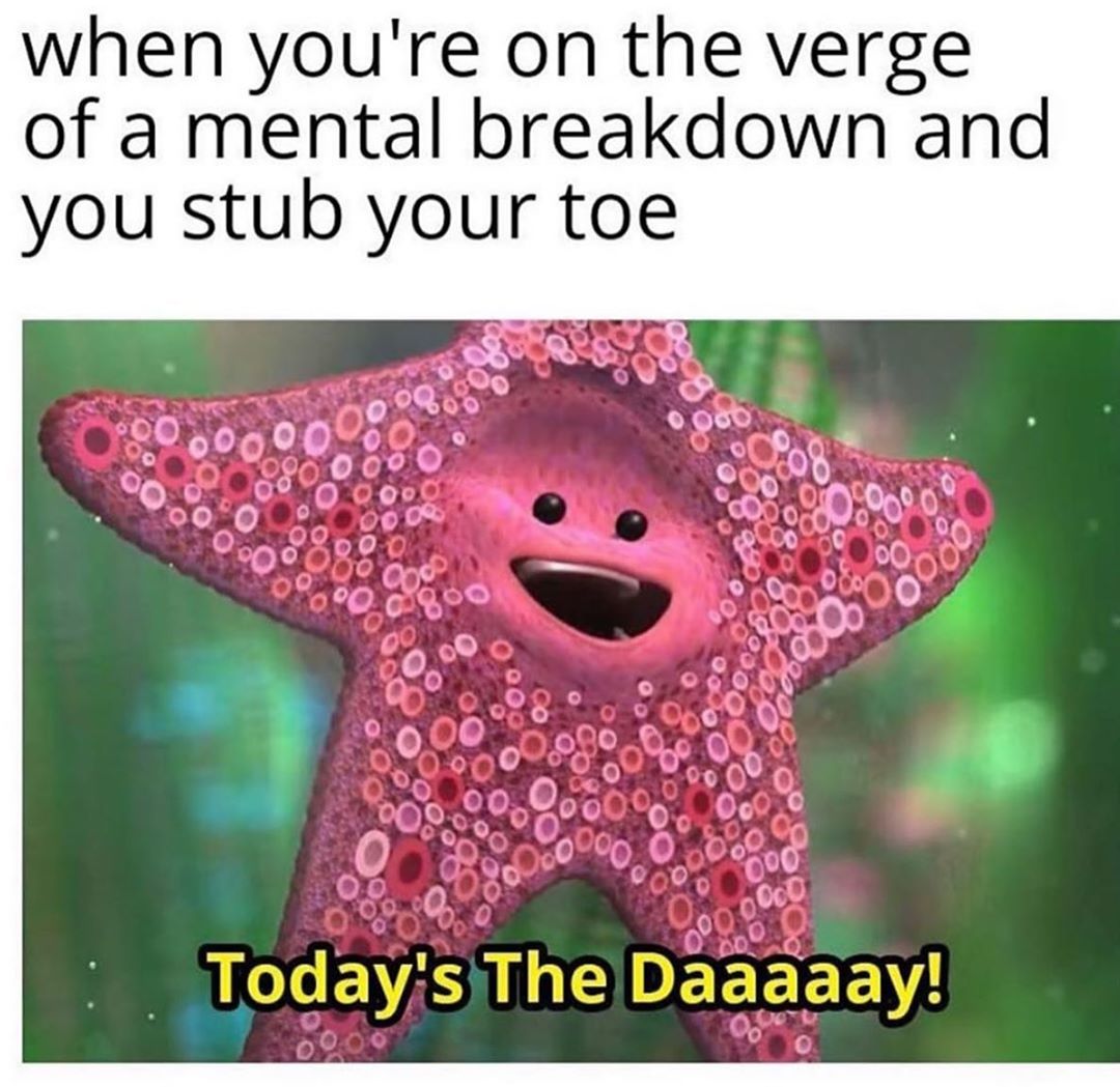 when youre on the verge of a mental breakdown and you stub your toe 3 g L D 50