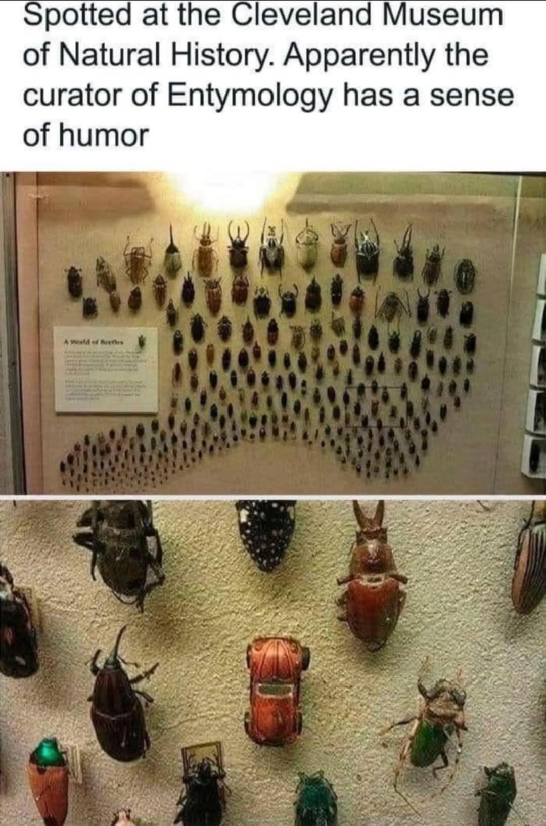 Spotted at the Cleveland Museum of Natural History. Apparently the curator of Entymology has a sense of humor