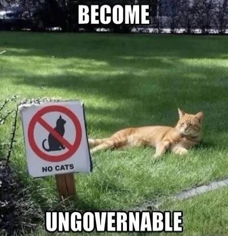 BECOME UNGOVERNABLE. NO CATS.