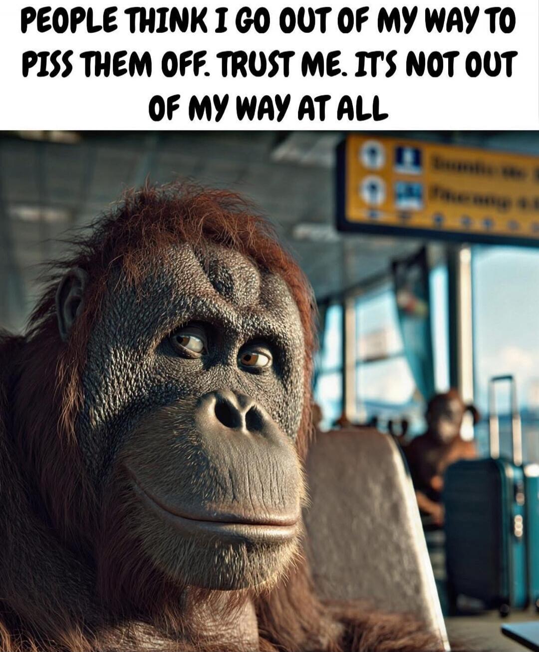 PEOPLE THINK I GO OUT OF MY WAY TO PISS THEM OFF. TRUST ME. IT'S NOT OUT OF MY WAY AT ALL