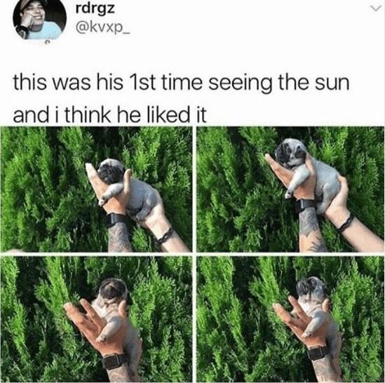 this was his 1st time seeing the sun and i think he liked it