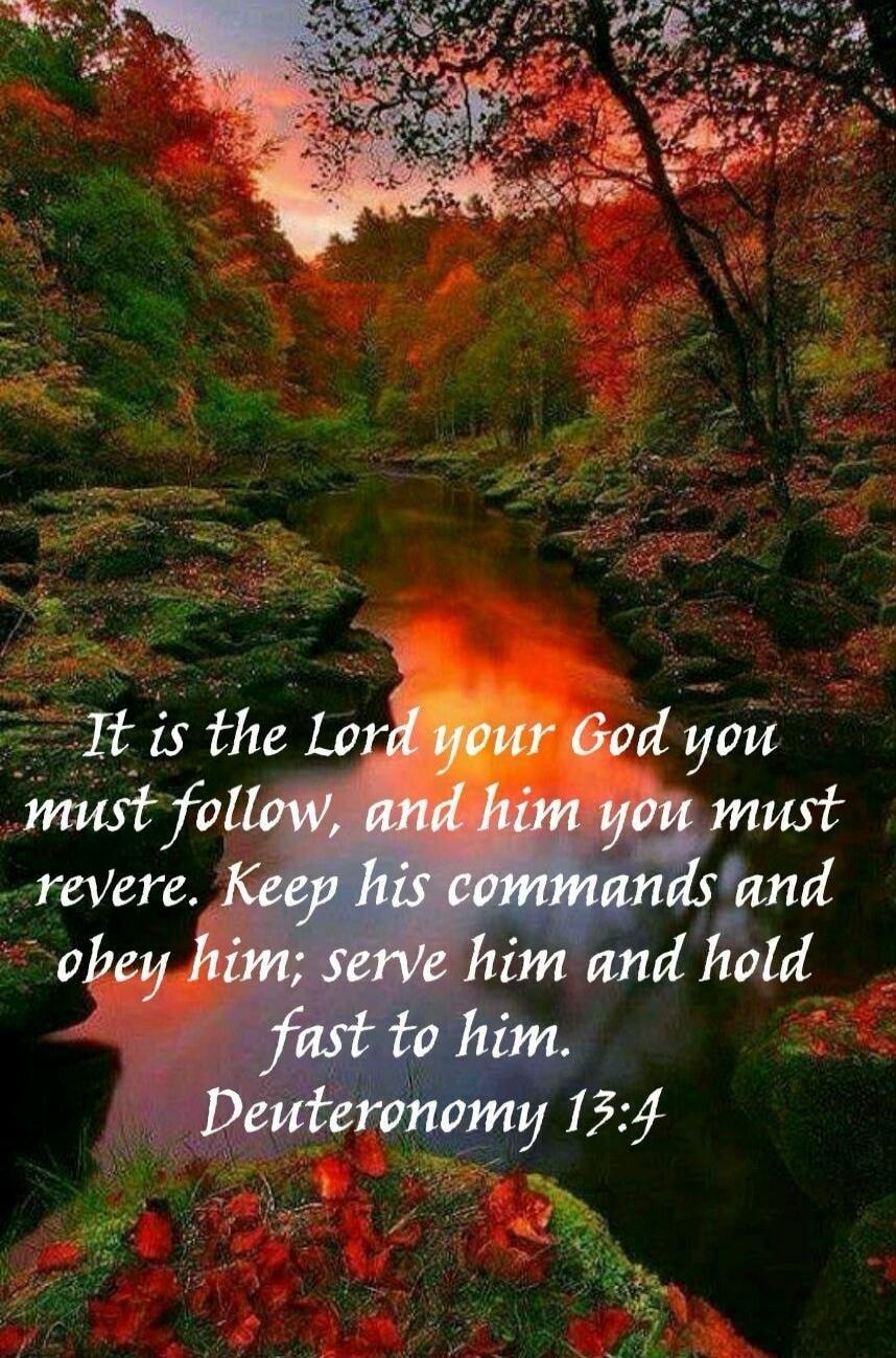It is the Lord your God you must follow, and him you must revere. Keep his commands and obey him; serve him and hold fast to him. Deuteronomy 13:4