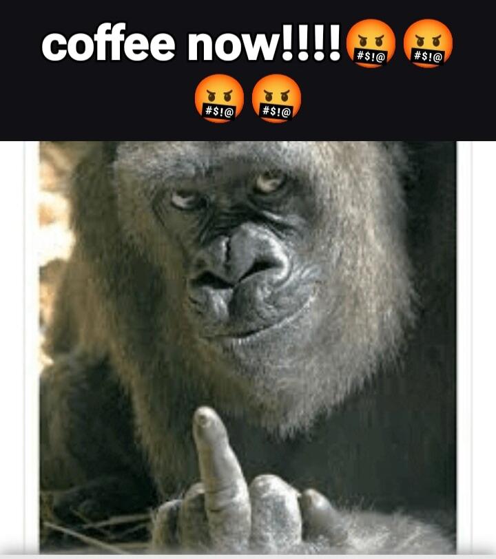 coffee now!!!!