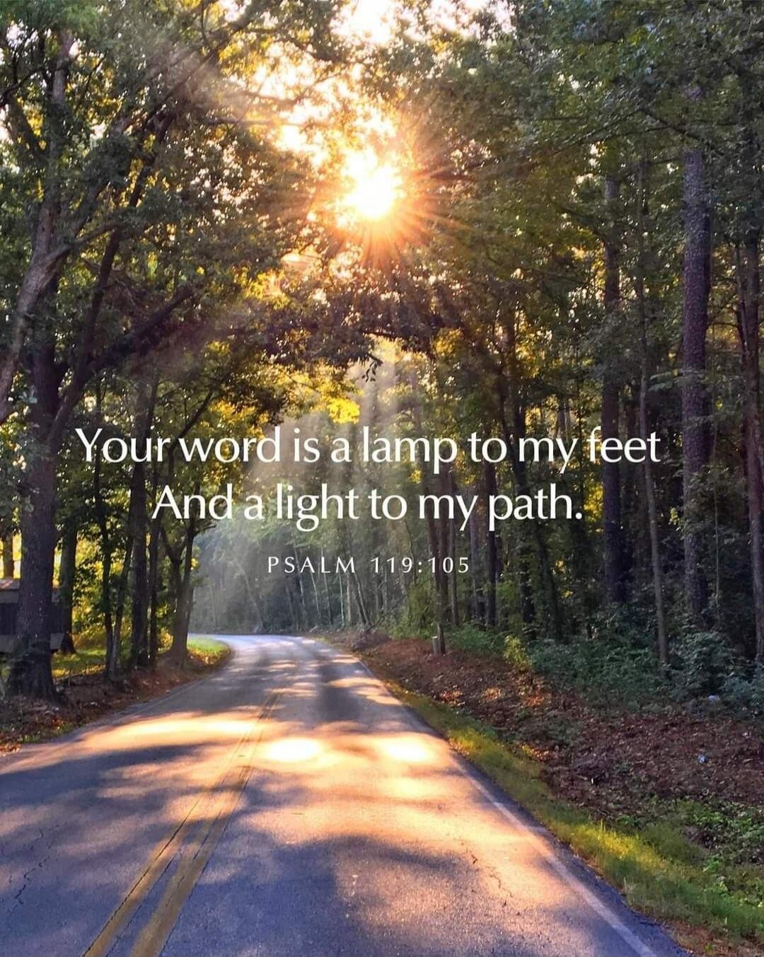 Your word is a lamp to my feet And a light to my path. PSALM 119:105
