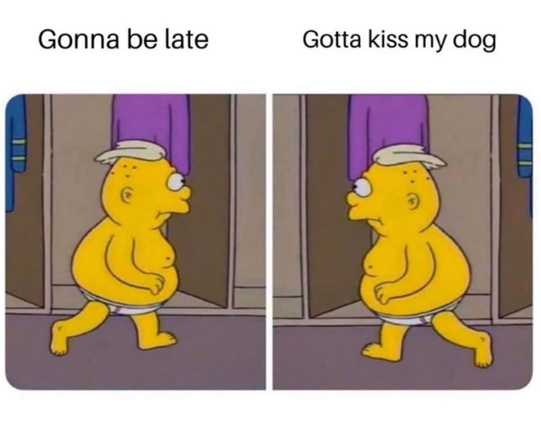 Gonna be late Gotta kiss my dog